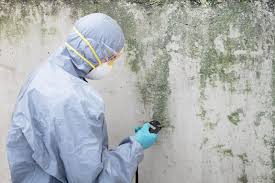 Best Airborne Mold Testing  in Bella Vista, CA